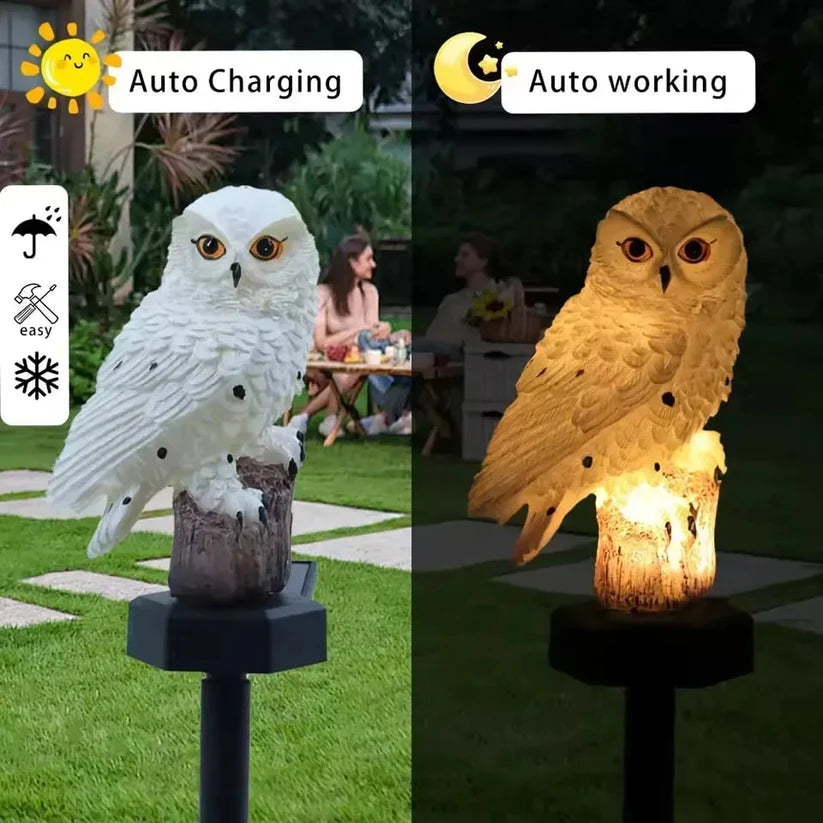 ✨Last Day Promotion 49% OFF— Waterproof Solar Owl Light