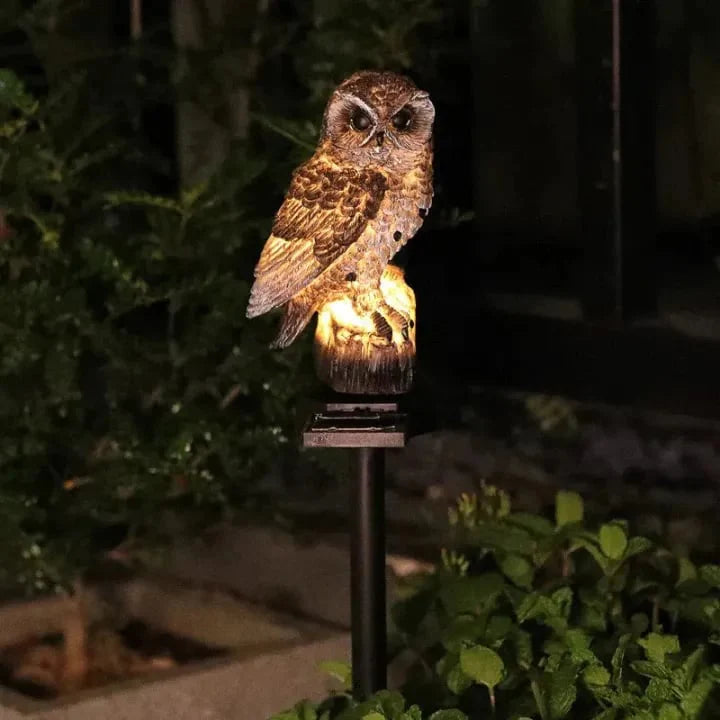 ✨Last Day Promotion 49% OFF— Waterproof Solar Owl Light