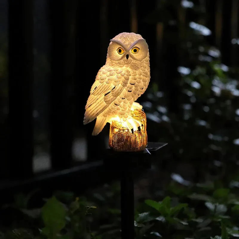 ✨Last Day Promotion 49% OFF— Waterproof Solar Owl Light