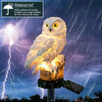 ✨Last Day Promotion 49% OFF— Waterproof Solar Owl Light