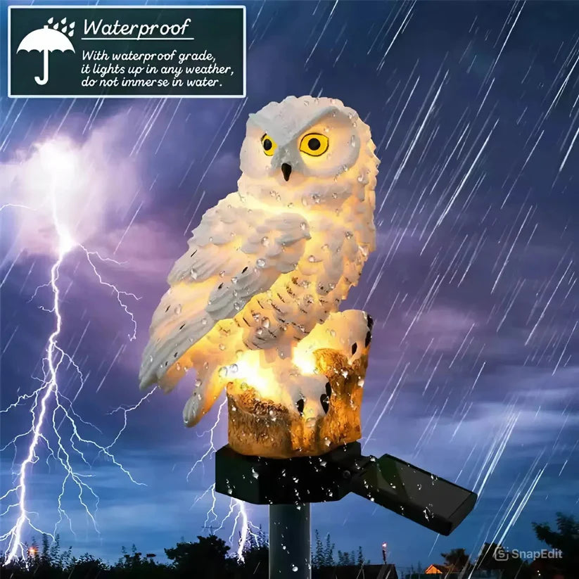 ✨Last Day Promotion 49% OFF— Waterproof Solar Owl Light